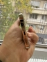 iPhone 13 Pro Max 128GB Gold, снимка 6