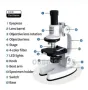 Детски микроскоп Science Microscope Suit 1200X, снимка 4