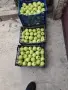 Круши, Ябълки,Мед и Сокове , снимка 10