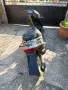 Honda Dio 50 куб, снимка 4