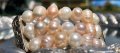  ГРИВНА с: естествени розови перли със сребърна пластина ., снимка 3