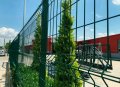 Оградни пана. Колове. Врати. Портали. Мрежа с декорация-Жив плет, снимка 10
