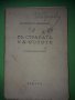 "В СТРАНАТА НА РОЗИТЕ"Емануил П.Димитров 1939г., снимка 1