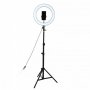 Професионална Лед Селфи Ринг Лампа за снимки и Видео ТикТок 10инча., снимка 4