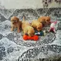 Продава се Мини Пудели, снимка 3