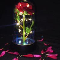 Оригинална вечна светеща роза в стъкленица, снимка 4 - Романтични подаръци - 44328827