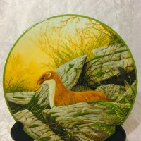 колекционерска порцеланова чиния Royal Doulton, снимка 2 - Декорация за дома - 39260376