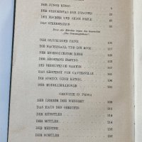 Оскар Уайлд : Разкази и приказки, Лайпциг 1918/на немски/, снимка 7 - Художествена литература - 35501652
