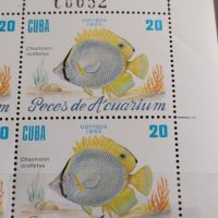 Пощенски марки АКВАРИУМНИ РИБКИ чисти без печат поща КУБА за КОЛЕКЦИЯ 37893, снимка 6 - Филателия - 40454586