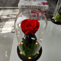 Вечна естествена роза в стъкленица, снимка 6 - Декорация за дома - 27657211