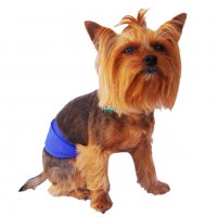 Хигиенен пояс за мъжко куче против маркиране Хигиенни дрехи за куче Пояс/Колан за мъжко куче , снимка 2 - За кучета - 27041359