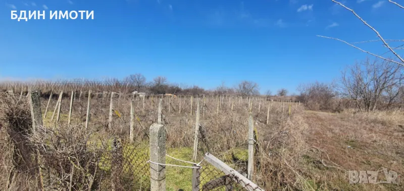 Продавам празен парцел в с. Неговановци обл. Видин, снимка 1