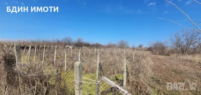 Продавам празен парцел в с. Неговановци обл. Видин