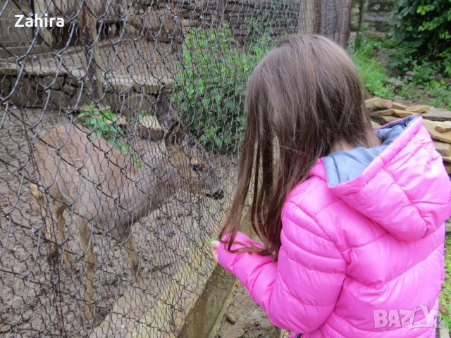  якета , снимка 3 - Детски якета и елеци - 24281449