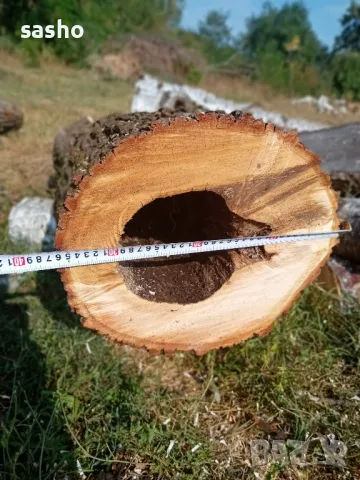 янове орех,дъб,бук,акация,догласка, снимка 12 - Декорация за дома - 39580747