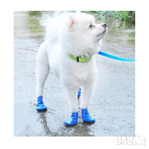 Гумени обувки за кучета. Кучешки обувки. Чорапи за куче. Обувки за куче

, снимка 4 - За кучета - 52563449