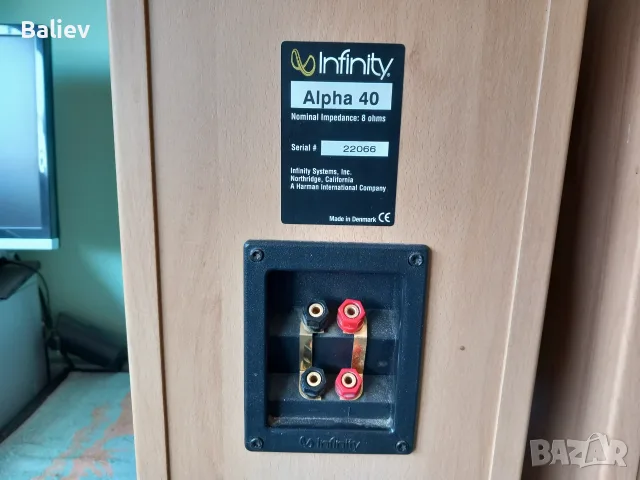INFINITY ALPHA 40 тонколони, снимка 12 - Тонколони - 55861830
