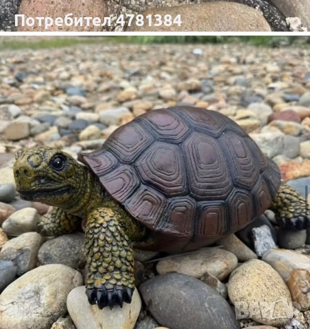 градинска костенурка за декорация!, снимка 2 - Градински мебели, декорация  - 54016280
