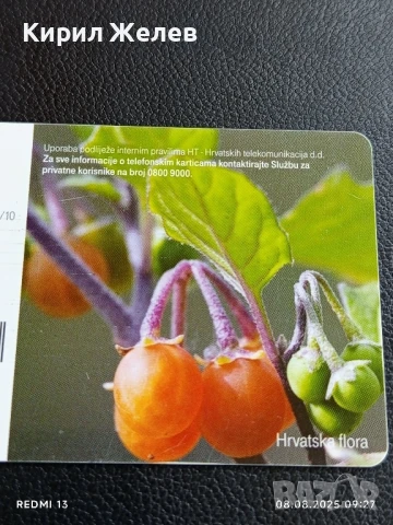 Фонокарта ХЪРВАТИЯ ФЛОРА много красива за КОЛЕКЦИЯ ДЕКОРАЦИЯ 50072, снимка 2 - Колекции - 51293866