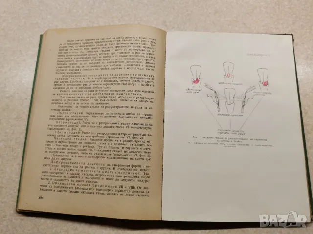 УЧЕБНИК ПО ГИНЕКОЛОГИЯ ОТ 1958 Г. , снимка 6 - Други ценни предмети - 48116002