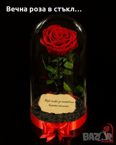 Романтичен подарък за приятелка / ЕСТЕСТВЕНА вечна роза в стъкленица / Подарък за Рожден Ден на Жена, снимка 8 - Градински цветя и растения - 24090675
