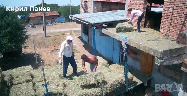 Люцерна 2025, снимка 2 - За селскостопански - 53125911