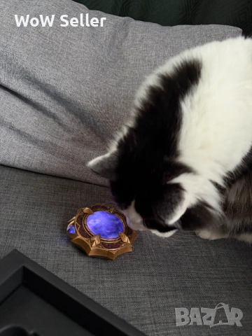 World of Warcraft Midnight Collector`s Edition ENGLISH (Без кода), снимка 9 - Игри за PC - 54196006