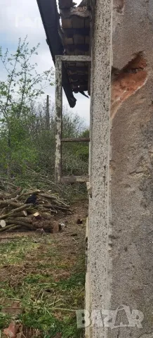 Къща с двор 2718кв.м в регулация в село Могилище на 10км. от плажа 2718кв.м. , снимка 4 - Парцели - 50104229