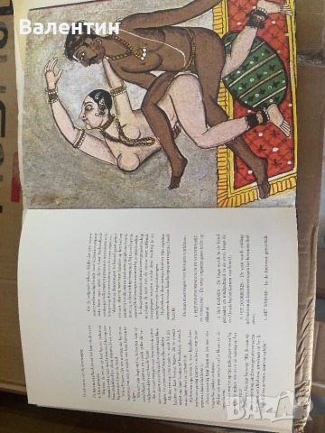 Индийска КАМА СУТРА на Фламандски език, снимка 3 - Художествена литература - 50673949