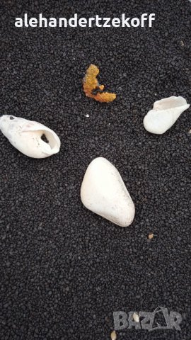 Аквариум AQUARIEN & TECHNIK, снимка 8 - Аквариуми - 39505726