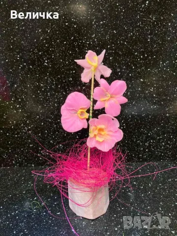 сапунени Орхидеи. , снимка 8 - Други - 48827188