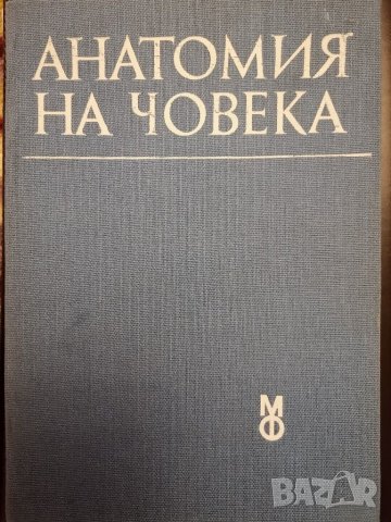 Анатомия на човека, снимка 1