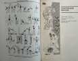 Энциклопедия массажа Массаж от А до Я - В. И. Дубровский 1998 г., снимка 7