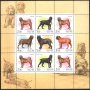 Чисти марки в малък лист Фауна Кучета 2002 от Русия