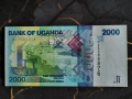 Банкнота - Уганда - 2000 шилинга UNC | 2021г., снимка 1