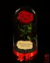 Романтичен подарък за приятелка / ЕСТЕСТВЕНА вечна роза в стъкленица / Подарък за Рожден Ден на Жена, снимка 8