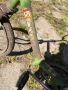 Велосипед балкан, снимка 3