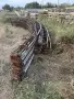 Асеновградска оранжерия, снимка 1