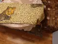 Завивка, чаршафи/пликове и калъфки, снимка 4