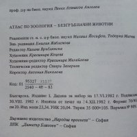 Атлас по зоология /Безгръбначни животни - П.Ангелов - 1982г. , снимка 7 - Енциклопедии, справочници - 42235687