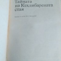 "Тайната на Кехлибарената стая" Юлиан Семьонов, снимка 6 - Художествена литература - 37420221