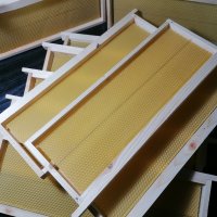 Рамки за пчелни кошери с монтирани восъчни основи , снимка 5 - За пчели - 43999272