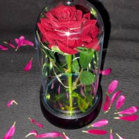 Оригинална вечна светеща роза в стъкленица, снимка 2 - Романтични подаръци - 44328827