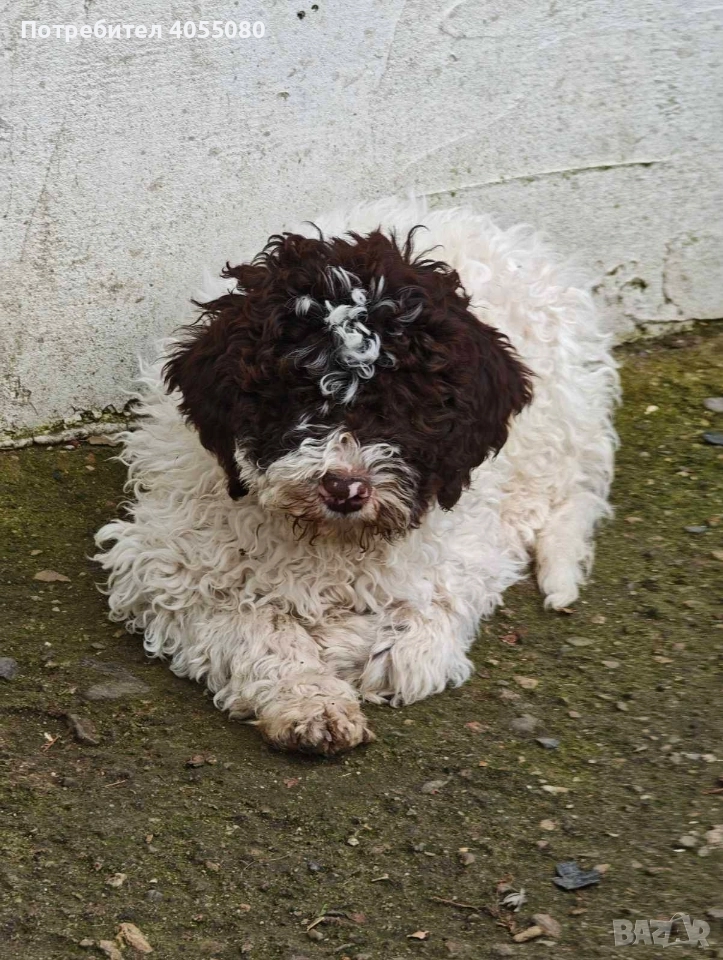 Лагото Романьоло , снимка 1