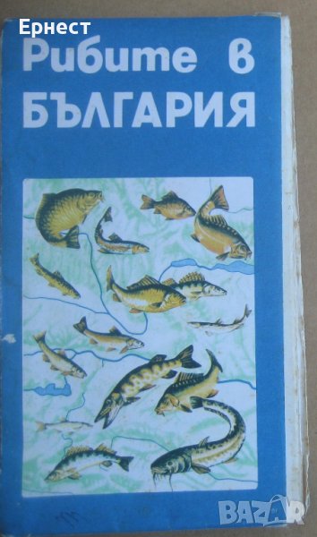 Карта на рибите в България, снимка 1