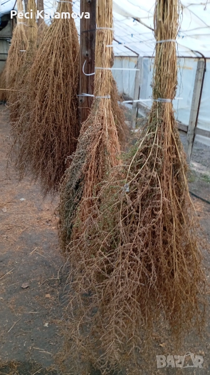 Метли, снимка 1