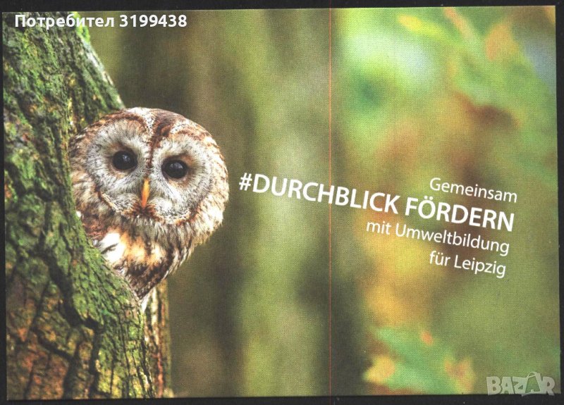 Пощенска картичка Фауна Птица Сова от Германия, снимка 1