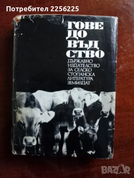 Говедовъдство 1969 г. , снимка 1