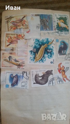 пощенски марки, снимка 9 - Филателия - 29398074