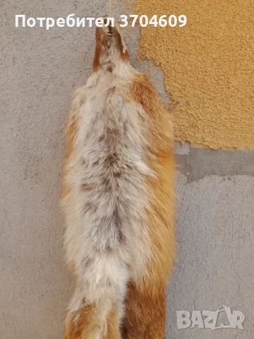 Кожа от лисица, снимка 5 - Шапки - 47438294